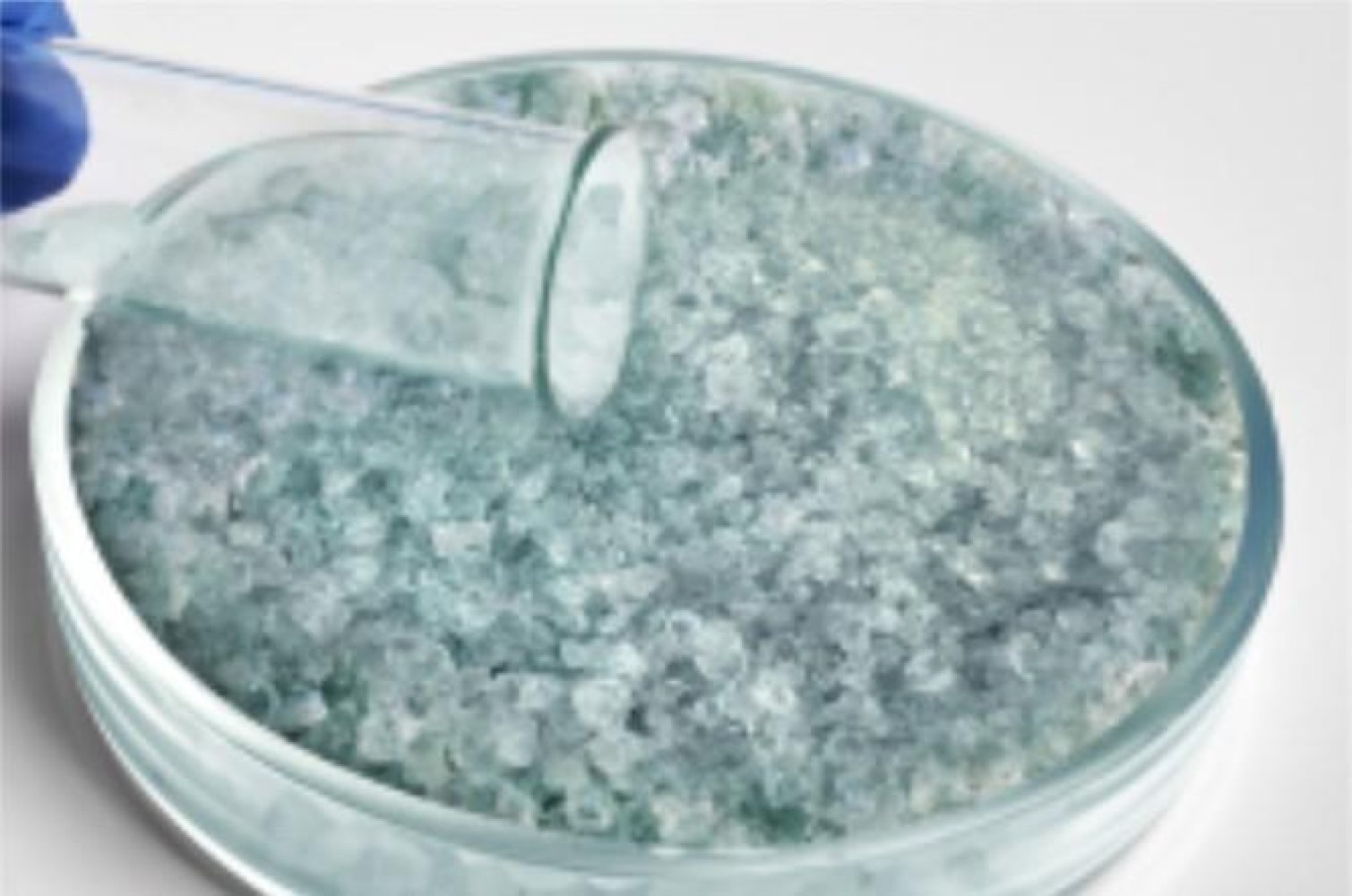What is bentonite? Where to use?